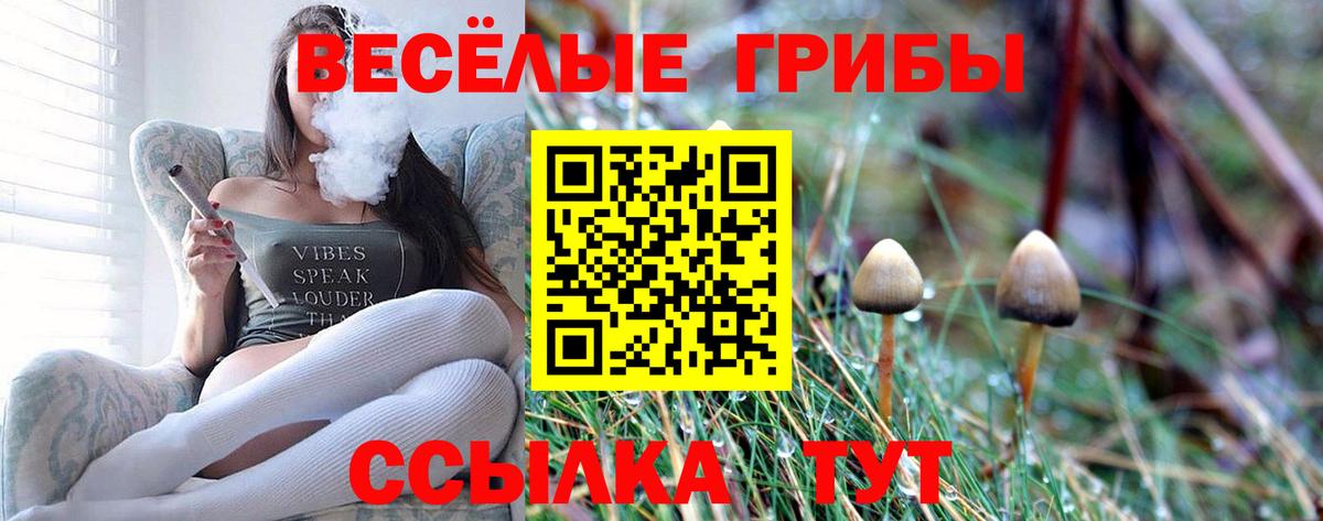 Галлюциногенные грибы прущие грибы Ишимбай